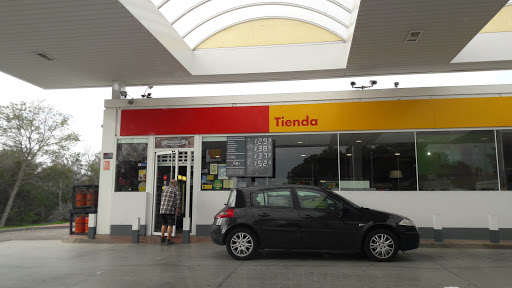 SHELL CABO PINO - Visual