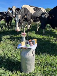 Photo n°1 de Savonnerie Aude Caresse Champêtre à Sury-le-Comtal (Magasin de produits de beauté)