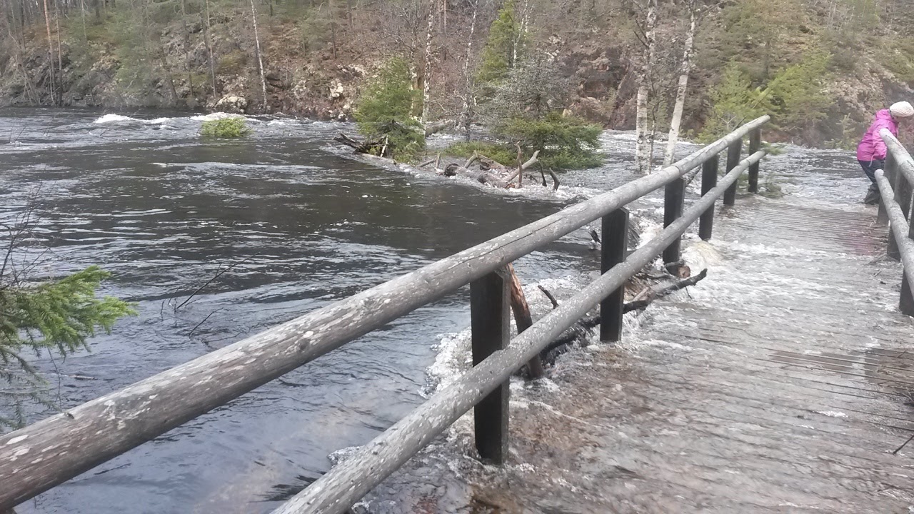 Kiutakongas Rapids