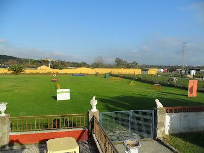 Photos of Centro Asistencial del Perro, S.L. "la escuela"