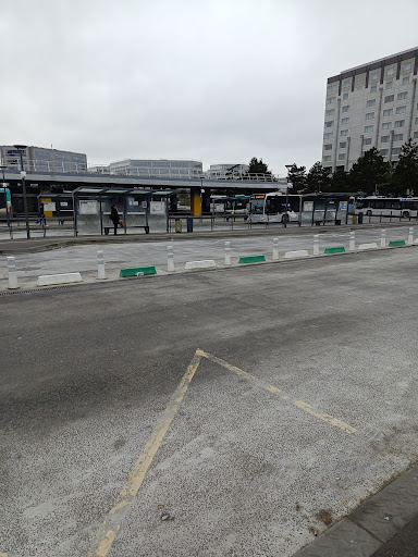 Paris Charles de Gaulle Airport (Central Bus Station) Gallery - France