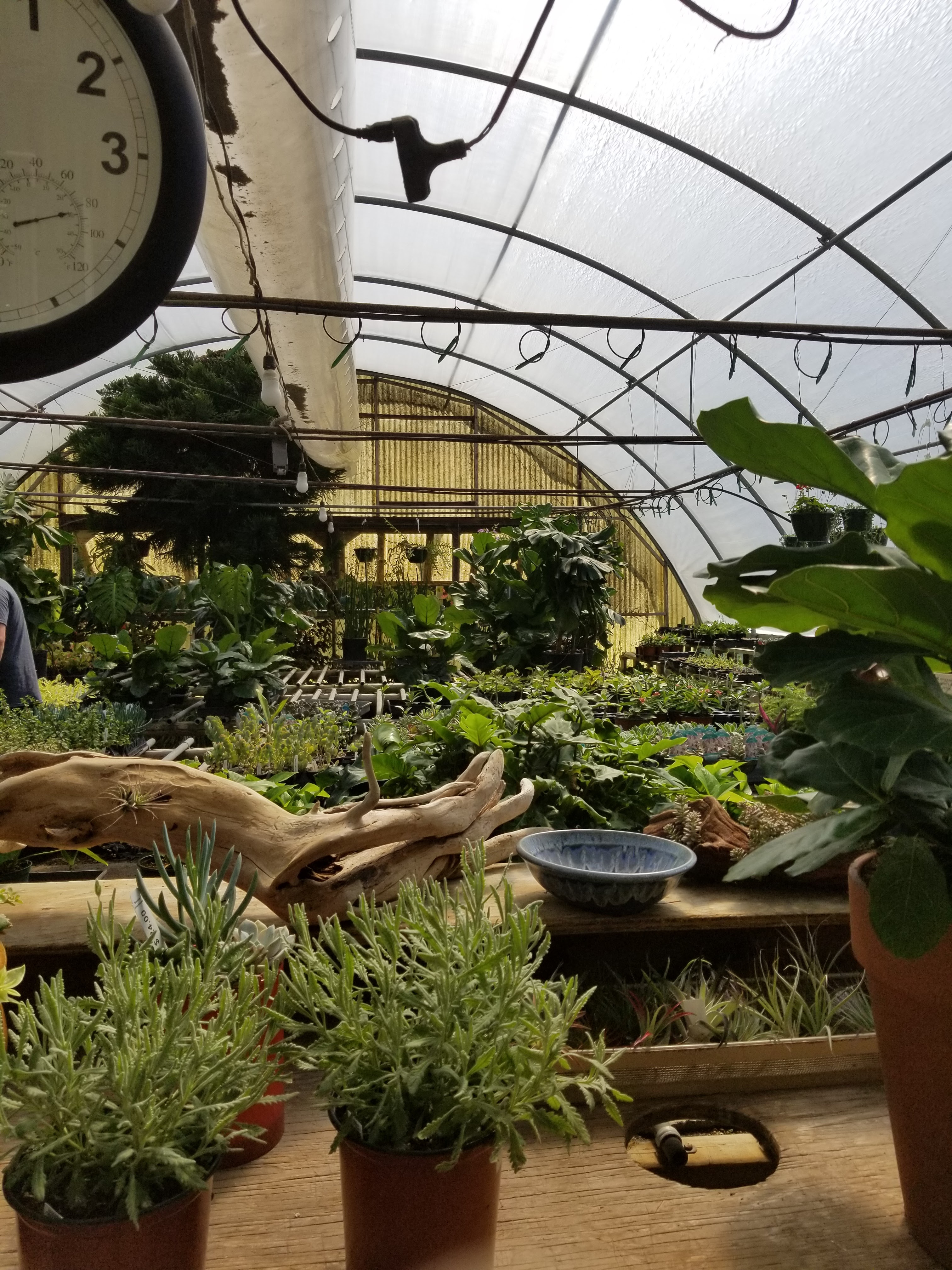 Bonnie's Greenhouse