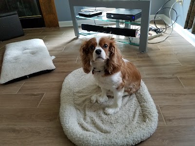 Photos of Blanchard Woods Animal Hospital