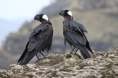 Photos of Grand Holidays Ethiopia Tours