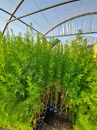 Photo n°30 de Ecolieu B & Bubble Drincham by BubbleTree à Drincham (Chambre d'hôtes)