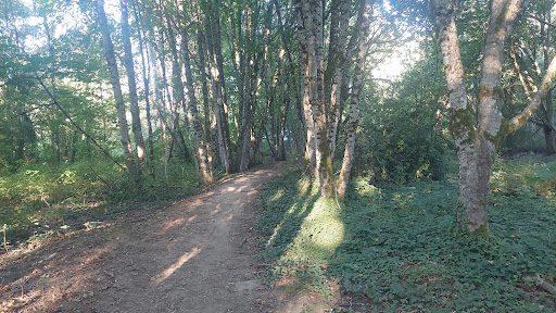 East Gresham Park - Visual