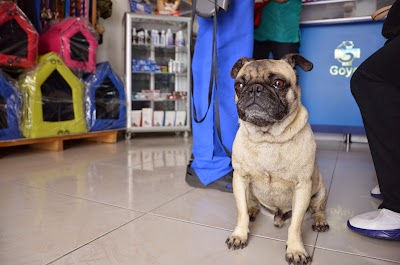 Photos of Goyet Centro M&eacute;dico Veterinario