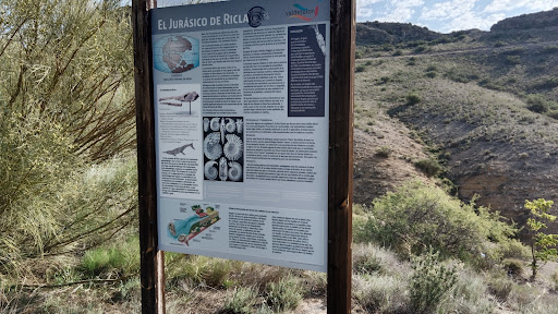 Camino de las Conchas - Palo del Moro - Ricla - Thumbnail