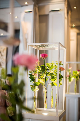 Comentarii opinii despre 's Graevenhof