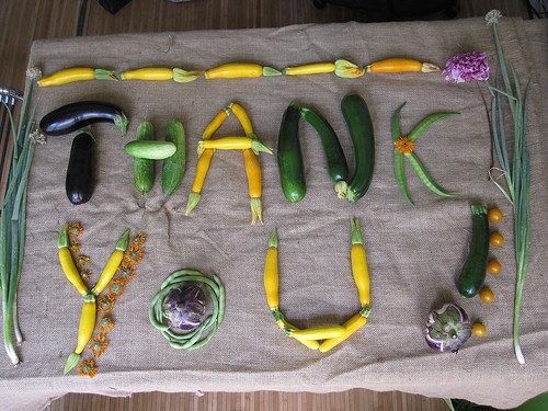 Quick Pickle Kit - Visual