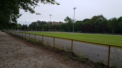 Pista Ciclabile Del Percorso Verde Gallery - Italy