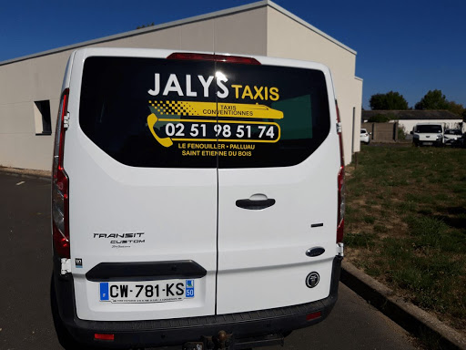 JALYS TAXIS, taxis et transports médicaux sur Le Fenouiller - Thumbnail
