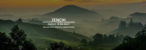 Zenchi B.V. - Visual