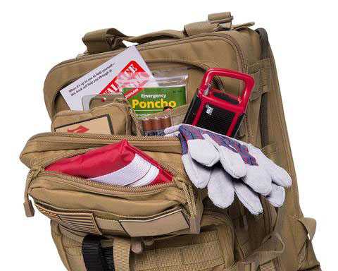 Sored Gear - Visual