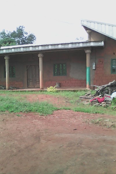 school