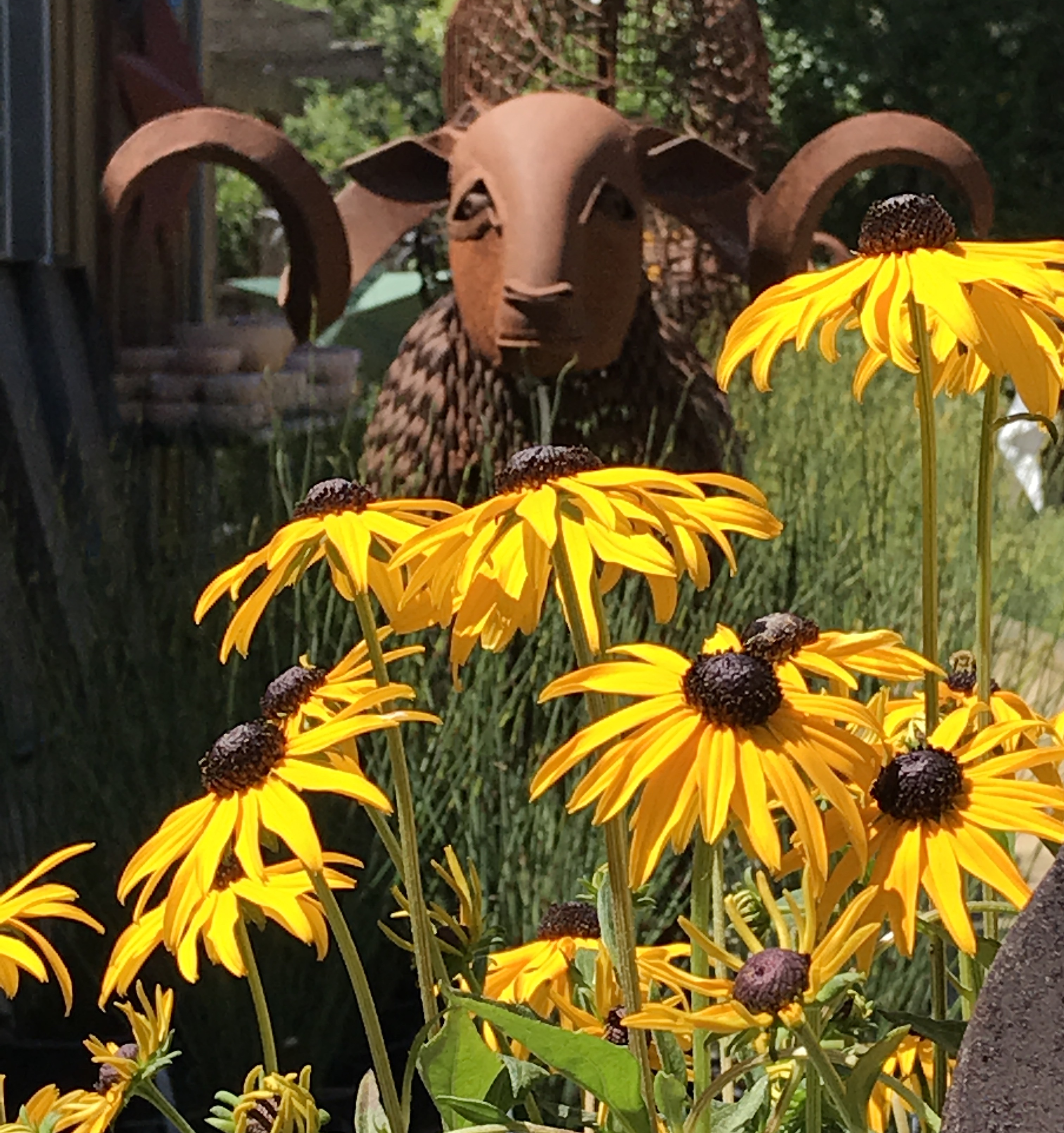 Cottage Gardens of Petaluma, Inc.