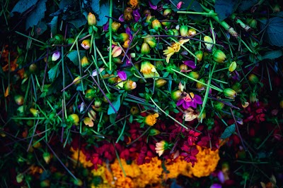 Kitasaika - 北彩花