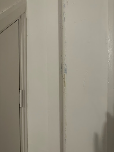 Absolute Decor - Thumbnail