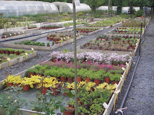 Photo de Les Jardins des Couzes à Champeix (63320)