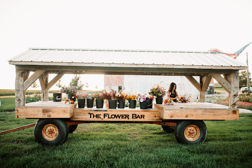 Wild Elements Farm - Visual
