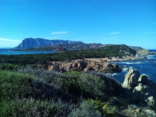 Spiaggia di Capo Coda Cavallo