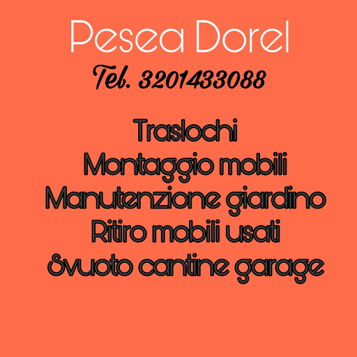 Pesea - Visual