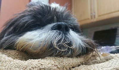 Photos of Veterinary Specialty Hospital