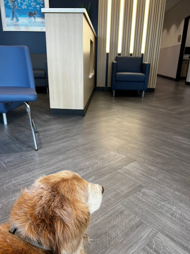 VCA Animal Hospitals Urgent Care - Mar Vista - Thumbnail