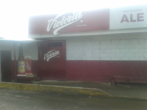 Cyber Del Centro De Tlacotepec De Jose Manzo El Verde Puebla - Thumbnail