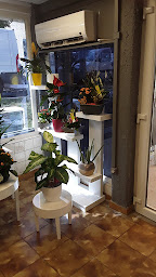 Photo n°16 de Chandieu Fleurs à Saint-Pierre-de-Chandieu (Fleuriste)