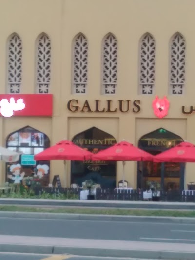 Photos of Gallus