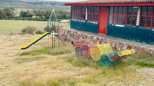 Primaria - Visual