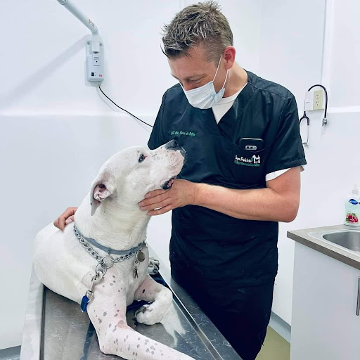 San Patricio Médicos Veterinarios Especialistas