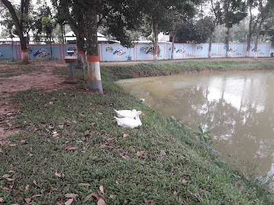 Photos of Unnayan Sangha - Child City