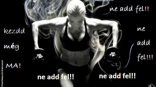 Fresh Women's Fitness, Author: Fresh Női Fitness