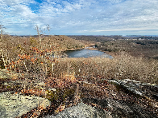 Ice Pond conservation area