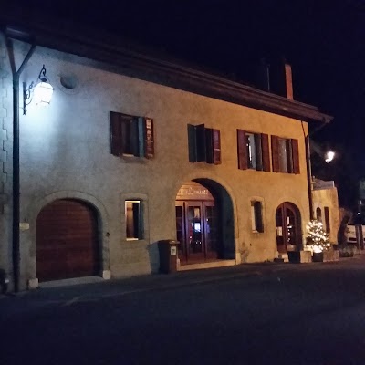 veterinary-care