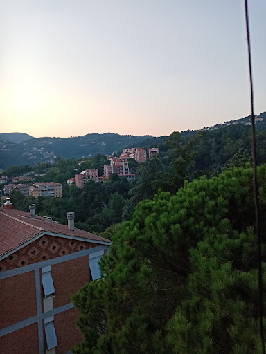 Fossitermi - Visual