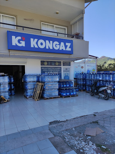 MOGAZ ARMUTALAN TÜPÇÜ