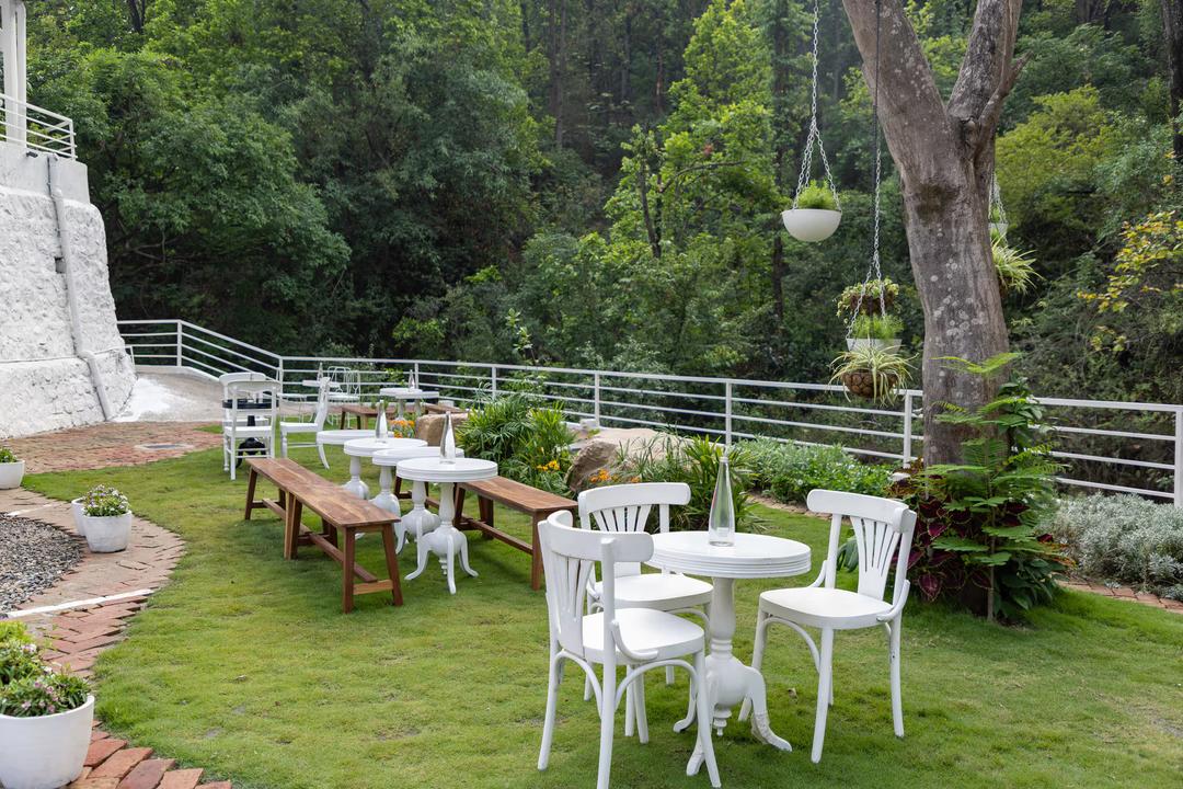 Foresta Cafe - Multi-Cuisine Restaurant — photo 9