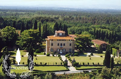 Agenzia Immobiliare Divina Toscana Luxury Real Estate - Pier Paolo Giglioni