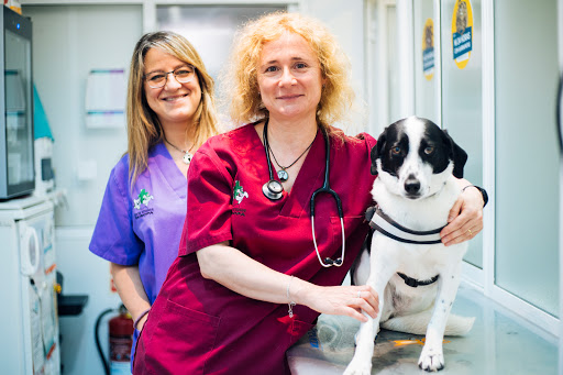 Centre Veterinari Europa