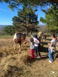 Photo n°22 de Accueil de Loisirs ALSH Robert BADOC, domaine de Ninaute à Limoux (Centre de loisirs)