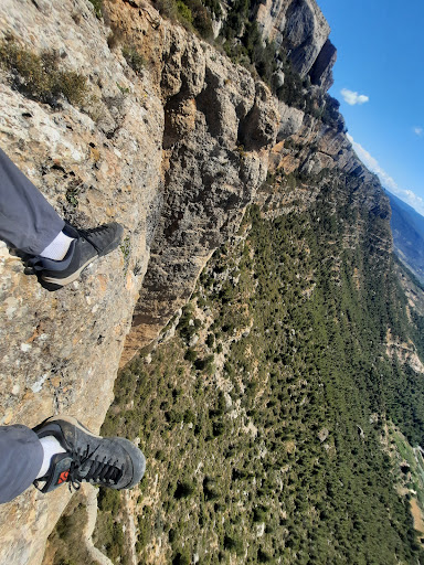 Roquera dels Grèvols