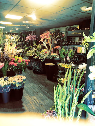Boeketterie Wassenaar - Thumbnail