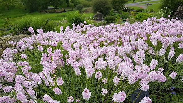 Jardin Botanique du Montet