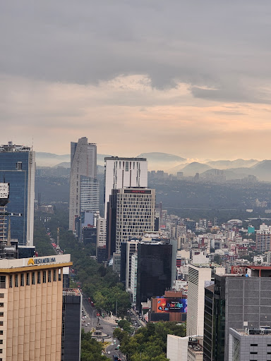 Agencia de Marketing en CDMX - Tu Empresa En La Web Logo