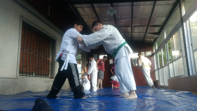 Judo Juncos, Author: EDGARDO DIBERTO