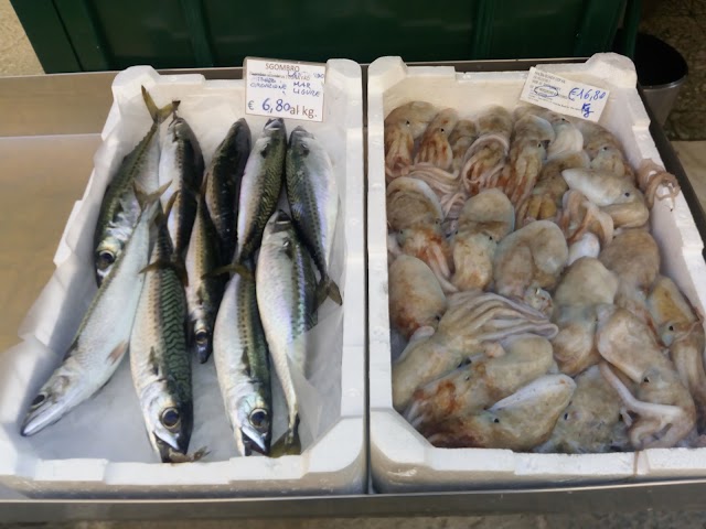 Sestri Levante