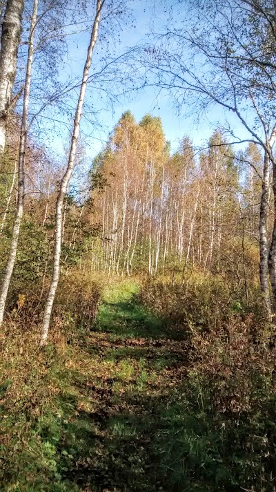 park